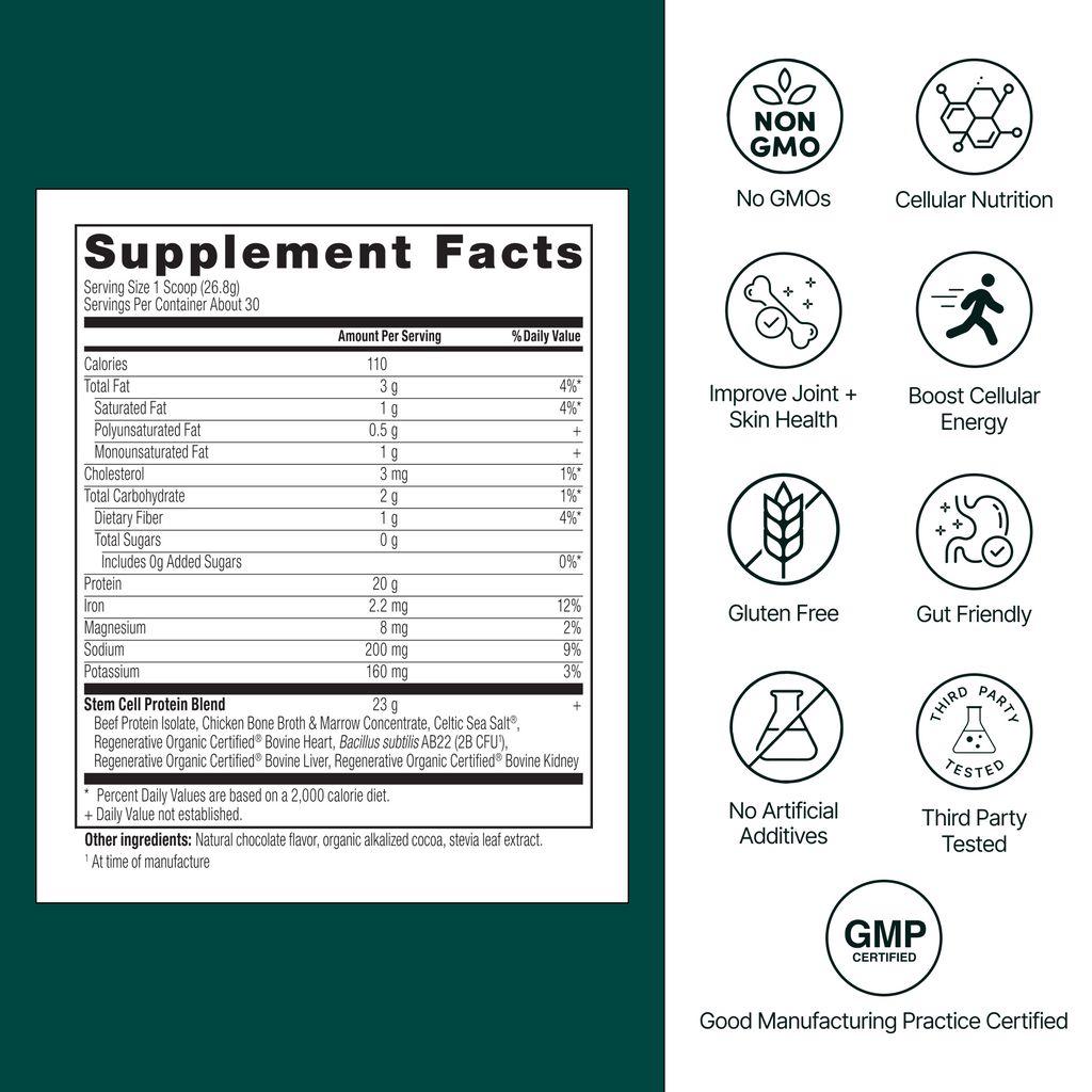 Whole-Food Bone & Organ Protein by Longevity Rx