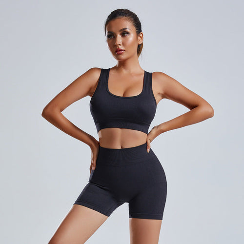 2pcs Seamless Yoga Set | Sports Bra & Shorts for Women