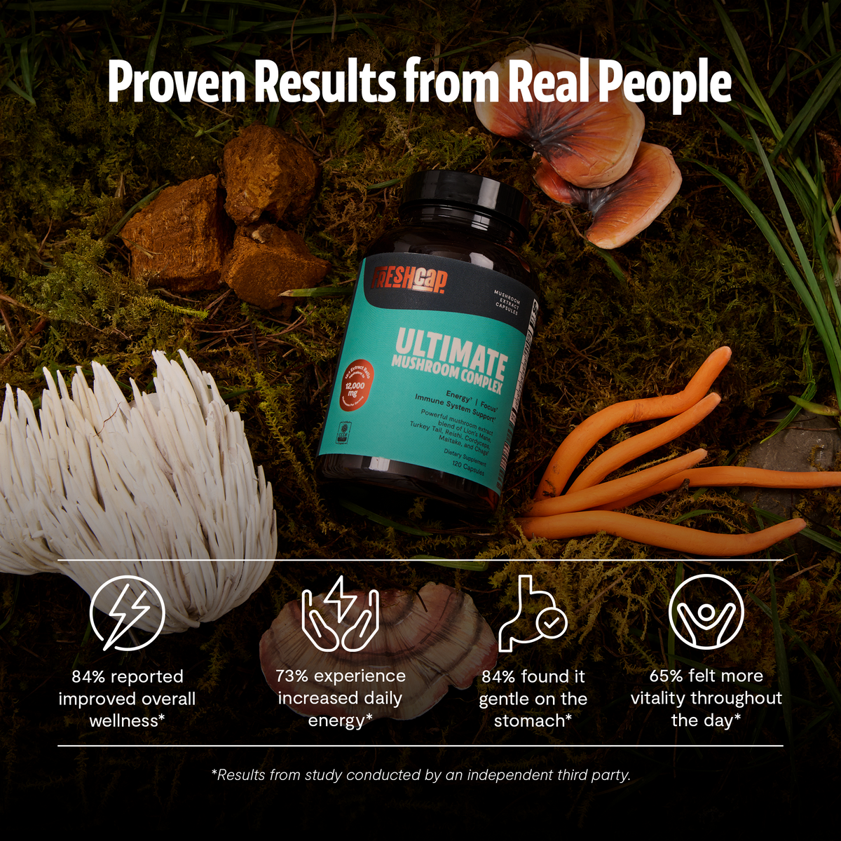 Organic Mushroom Complex | Six-Mushroom Adaptogen Blend
