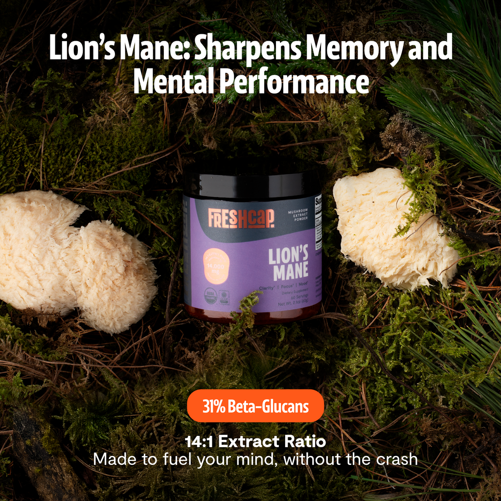 Organic Mushroom Complex | Six-Mushroom Adaptogen Blend