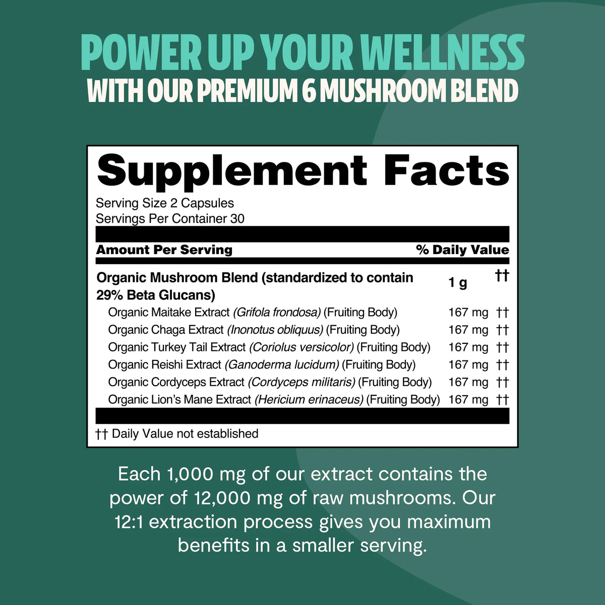 Organic Mushroom Complex | Six-Mushroom Adaptogen Blend