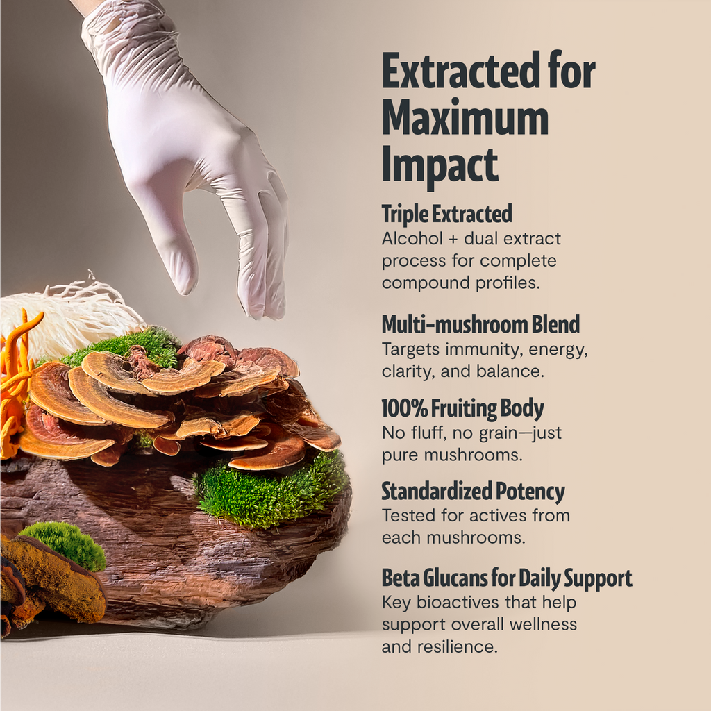 Organic Mushroom Complex | Six-Mushroom Adaptogen Blend