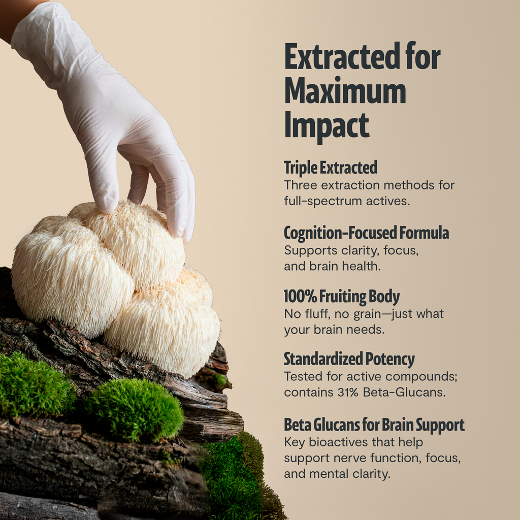 Organic Mushroom Complex | Six-Mushroom Adaptogen Blend