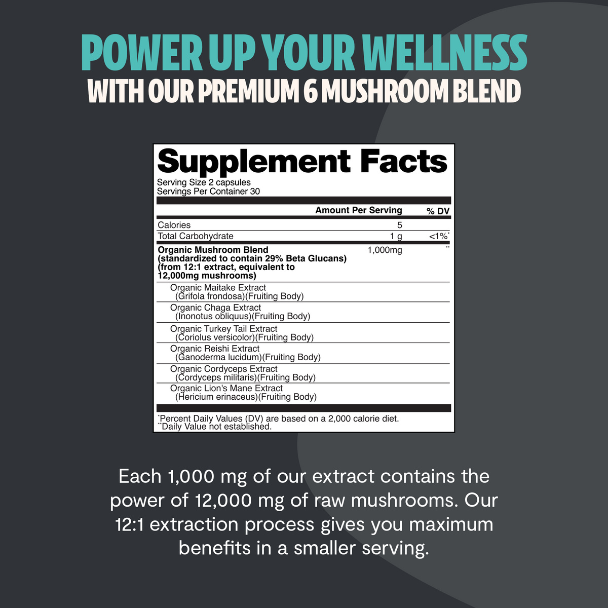 Organic Mushroom Complex | Six-Mushroom Adaptogen Blend