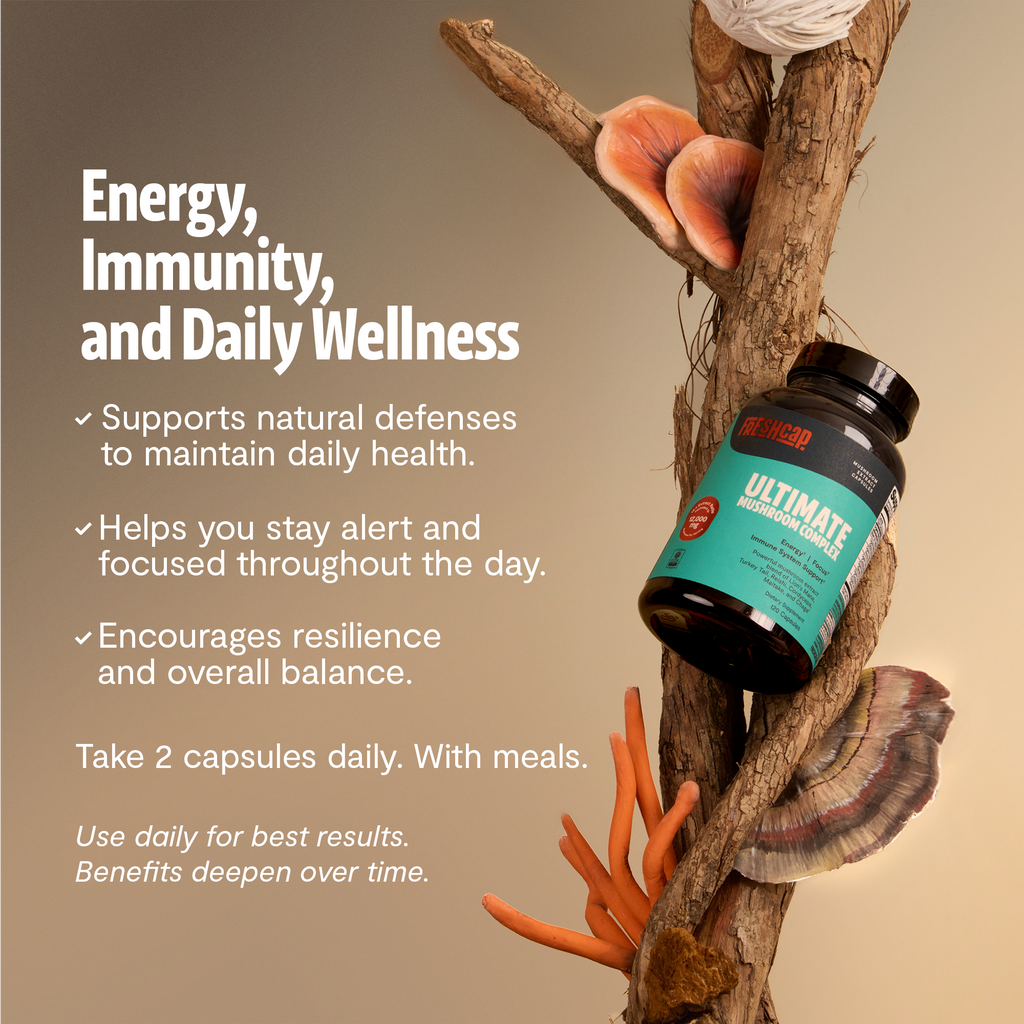 Organic Mushroom Complex | Six-Mushroom Adaptogen Blend