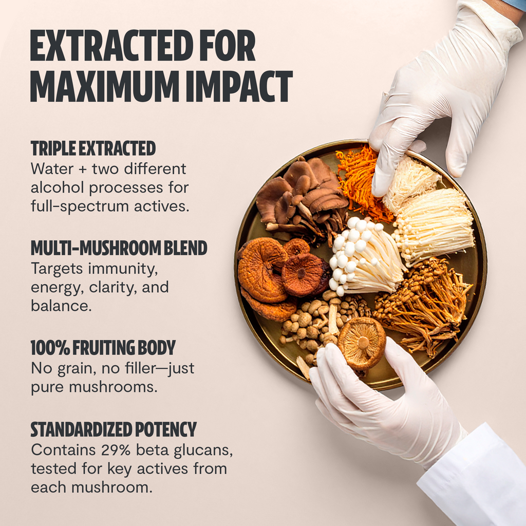 Organic Mushroom Complex | Six-Mushroom Adaptogen Blend