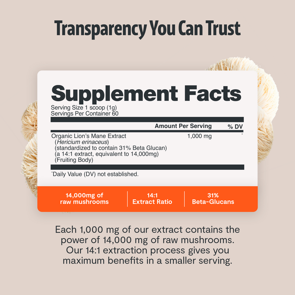 Organic Mushroom Complex | Six-Mushroom Adaptogen Blend