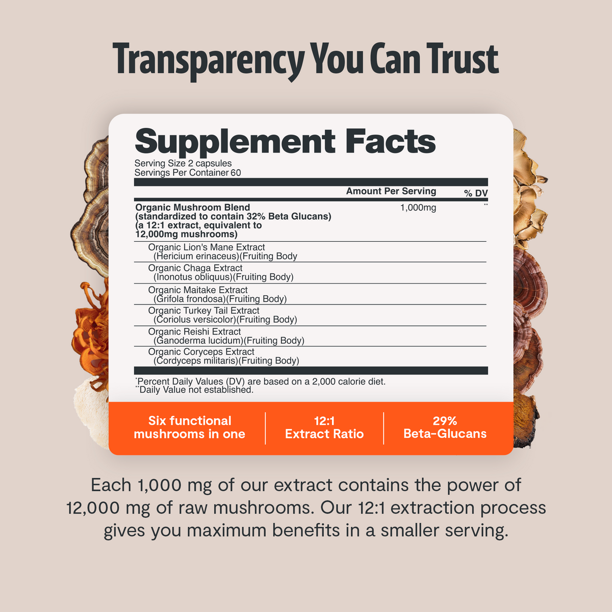 Organic Mushroom Complex | Six-Mushroom Adaptogen Blend
