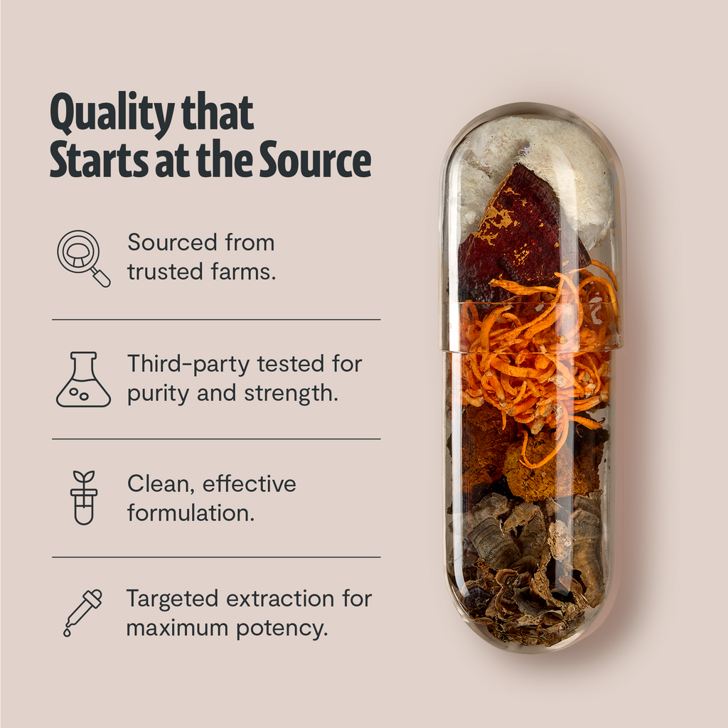 Organic Mushroom Complex | Six-Mushroom Adaptogen Blend