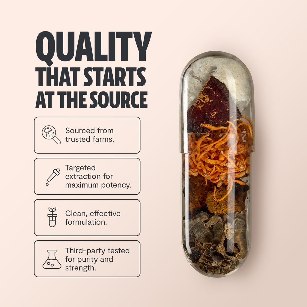 Organic Mushroom Complex | Six-Mushroom Adaptogen Blend