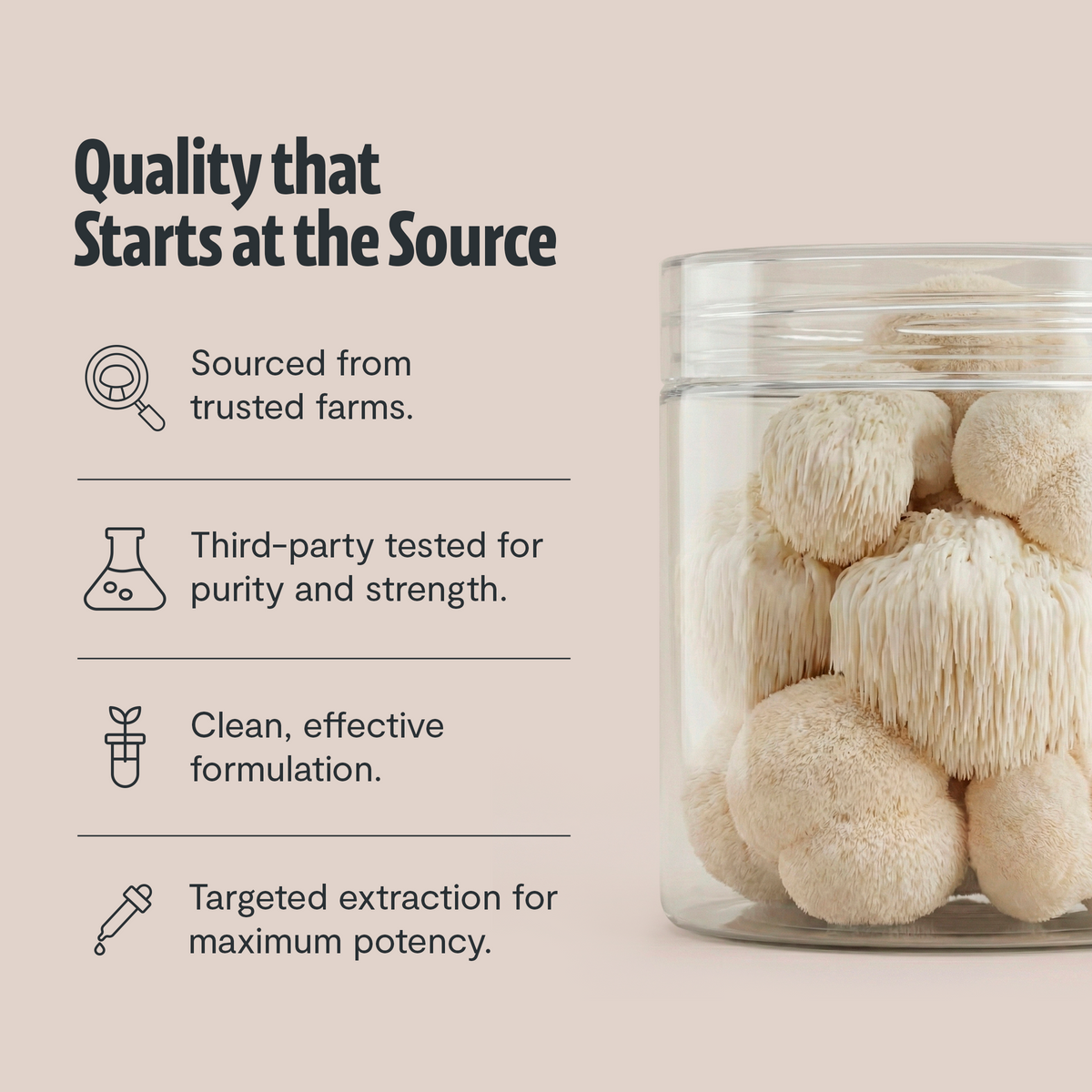 Organic Mushroom Complex | Six-Mushroom Adaptogen Blend