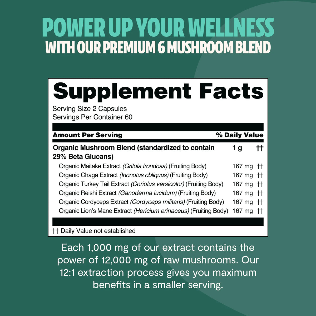 Organic Mushroom Complex | Six-Mushroom Adaptogen Blend