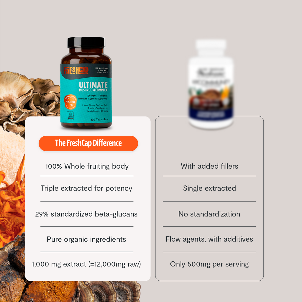 Organic Mushroom Complex | Six-Mushroom Adaptogen Blend