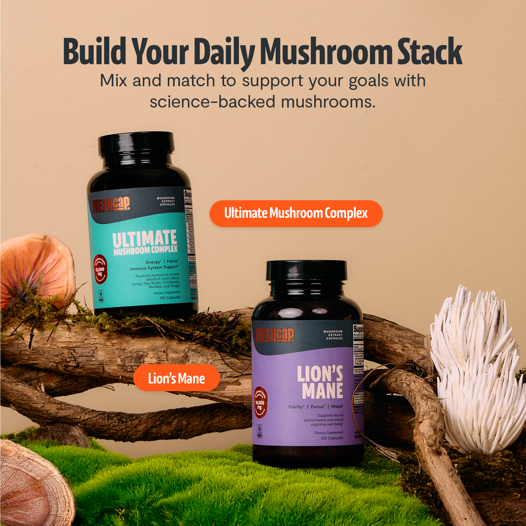 Organic Mushroom Complex | Six-Mushroom Adaptogen Blend