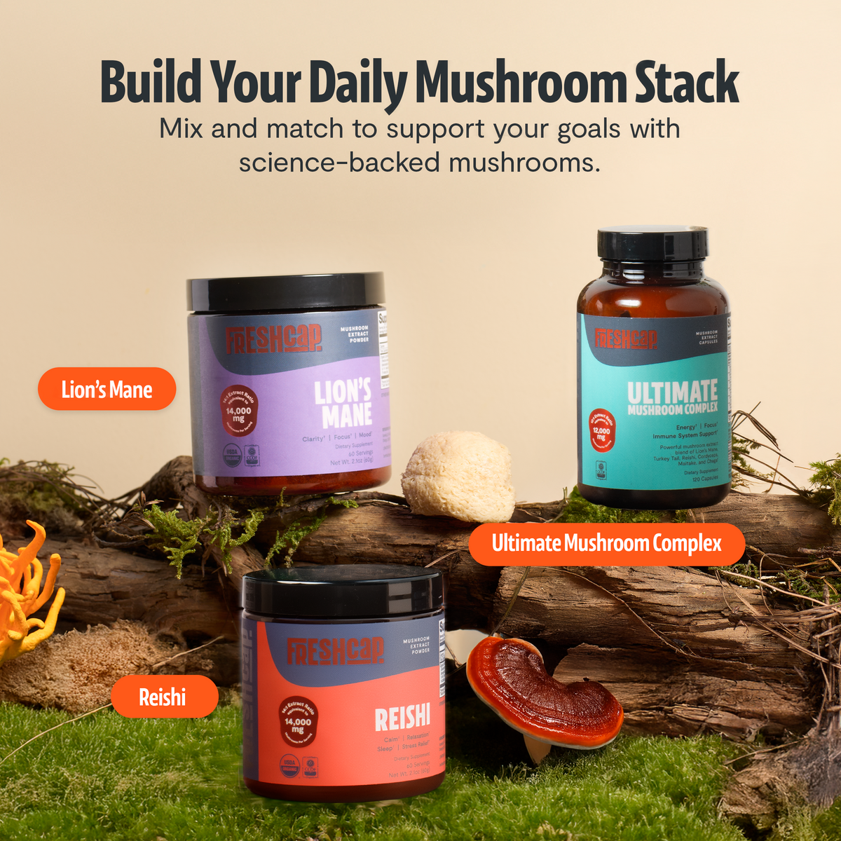 Organic Mushroom Complex | Six-Mushroom Adaptogen Blend